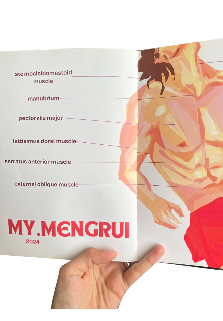 anatomia zine 𖠣